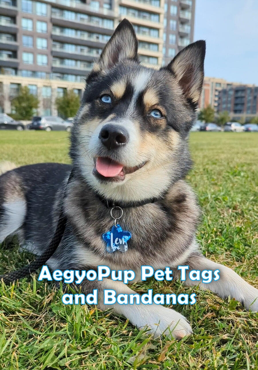 Aegyopup Resin Pet Tags