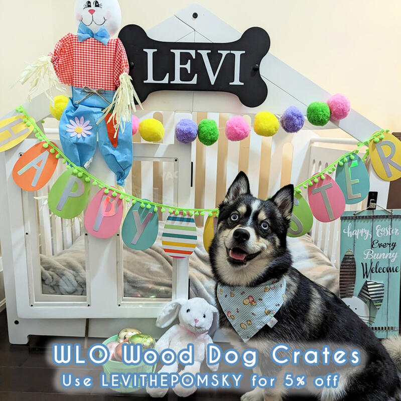 WLO Dog Crate
