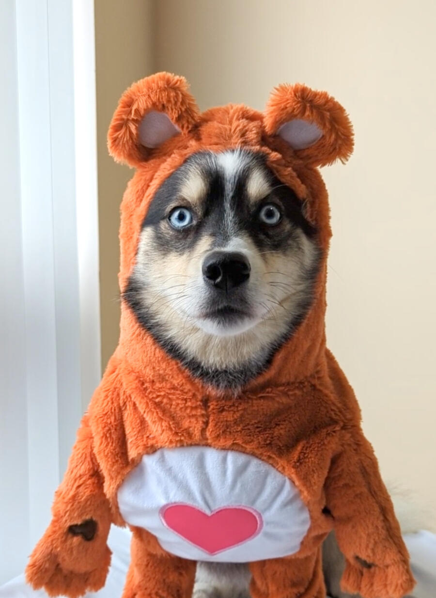 Fun Halloween Costumes